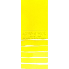 Aquarelle extra-fines Daniel Smith