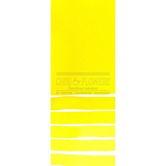 Aquarelle extra-fines Daniel Smith