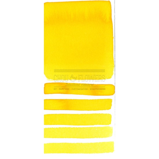 Aquarelle extra-fines Daniel Smith