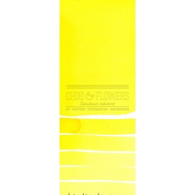 Aquarelle extra-fines Daniel Smith