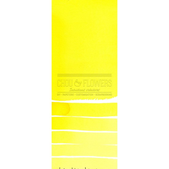 Aquarelle extra-fines Daniel Smith