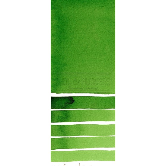 Aquarelle extra-fines Daniel Smith