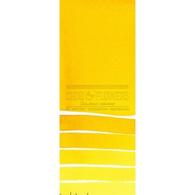 Aquarelle extra-fines Daniel Smith