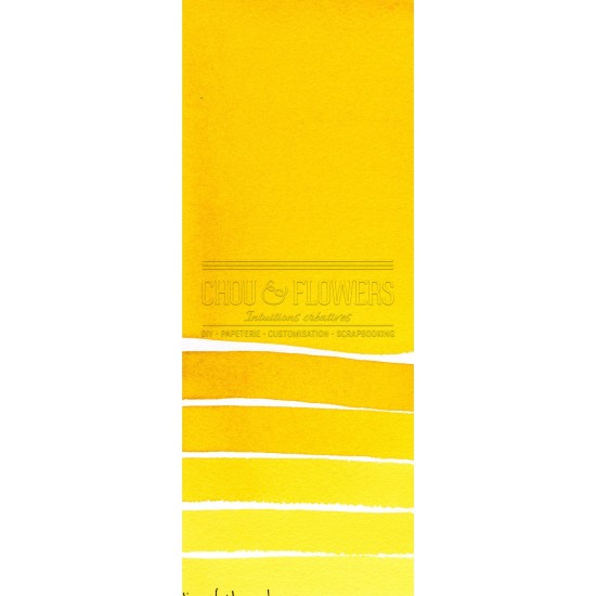 Aquarelle extra-fines Daniel Smith