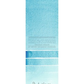 Aquarelle extra-fines Daniel Smith