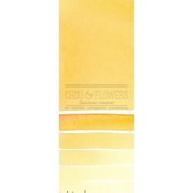 Aquarelle extra-fines Daniel Smith