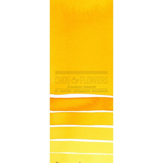 Aquarelle extra-fines Daniel Smith