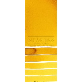 Aquarelle extra-fines Daniel Smith