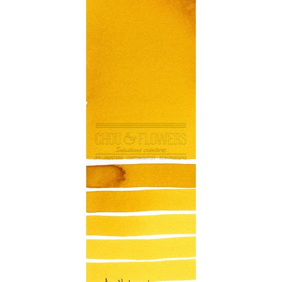 Aquarelle extra-fines Daniel Smith