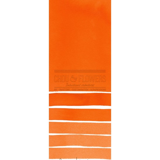 Aquarelle extra-fines Daniel Smith