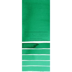 Aquarelle extra-fines Daniel Smith