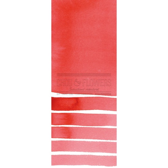 Aquarelle extra-fines Daniel Smith