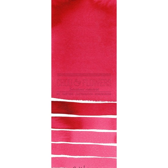 Aquarelle extra-fines Daniel Smith