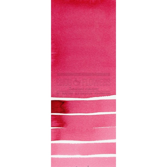 Aquarelle extra-fines Daniel Smith