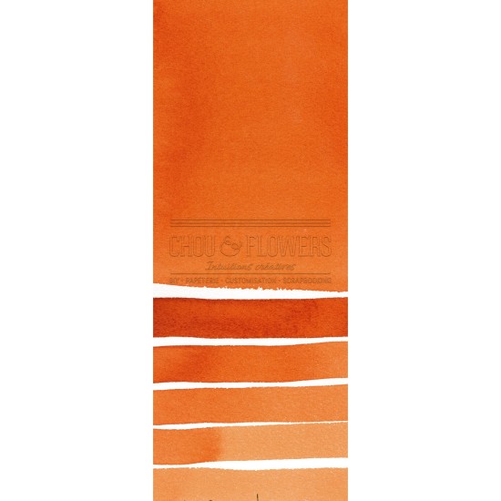 Aquarelle extra-fines Daniel Smith