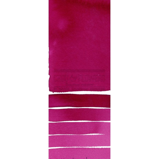 Aquarelle extra-fines Daniel Smith