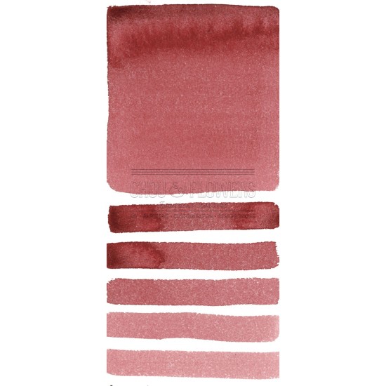 Aquarelle extra-fines Daniel Smith