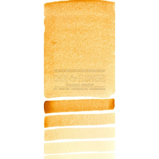 Aquarelle extra-fines Daniel Smith