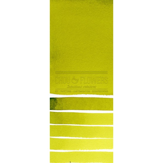 Aquarelle extra-fines Daniel Smith