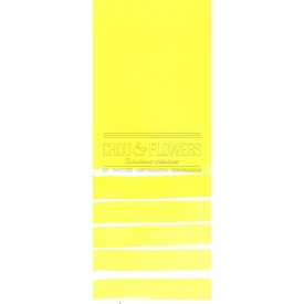 Aquarelle extra-fines Daniel Smith