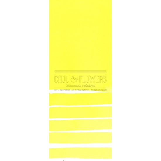 Aquarelle extra-fines Daniel Smith