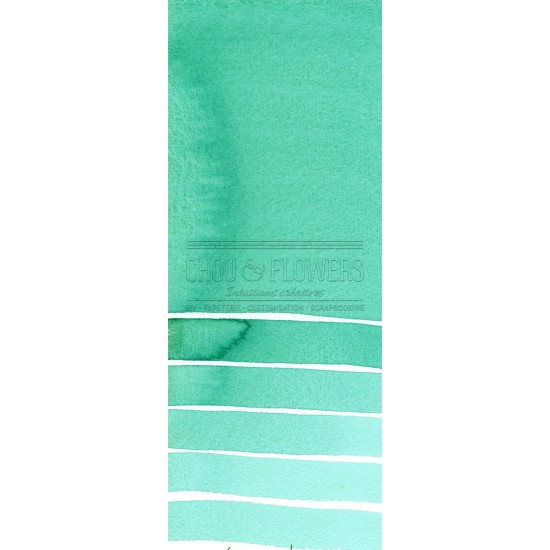 Aquarelle extra-fines Daniel Smith