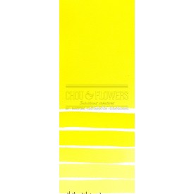 Aquarelle extra-fines Daniel Smith