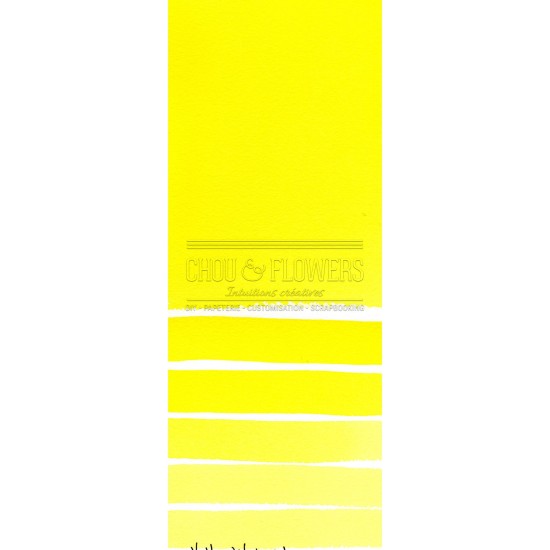 Aquarelle extra-fines Daniel Smith