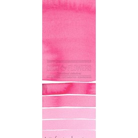 Aquarelle extra-fines Daniel Smith