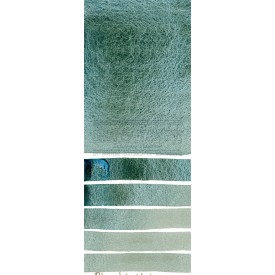 Aquarelle extra-fines Daniel Smith