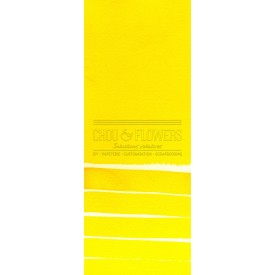 Aquarelle extra-fines Daniel Smith