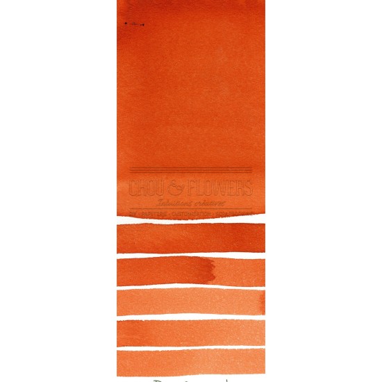 Aquarelle extra-fines Daniel Smith