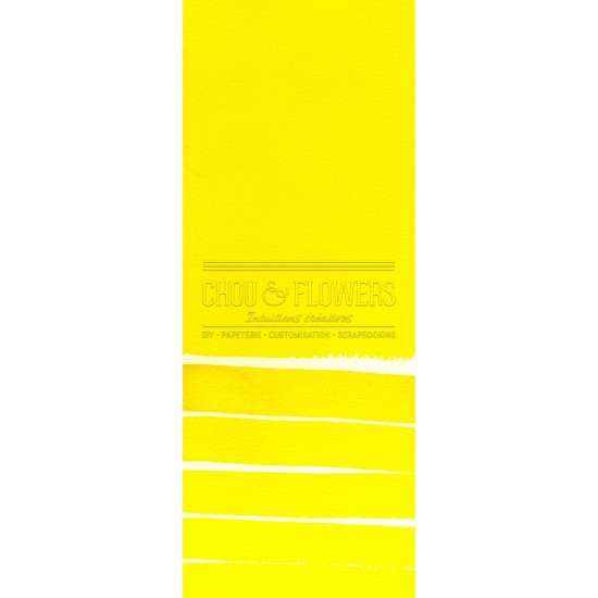 Aquarelle extra-fines Daniel Smith