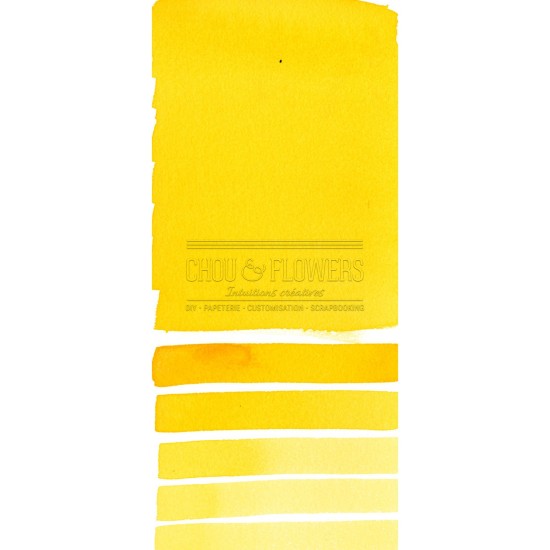 Aquarelle extra-fines Daniel Smith