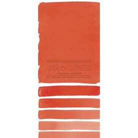 Aquarelle extra-fines Daniel Smith