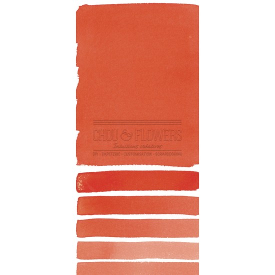 Aquarelle extra-fines Daniel Smith