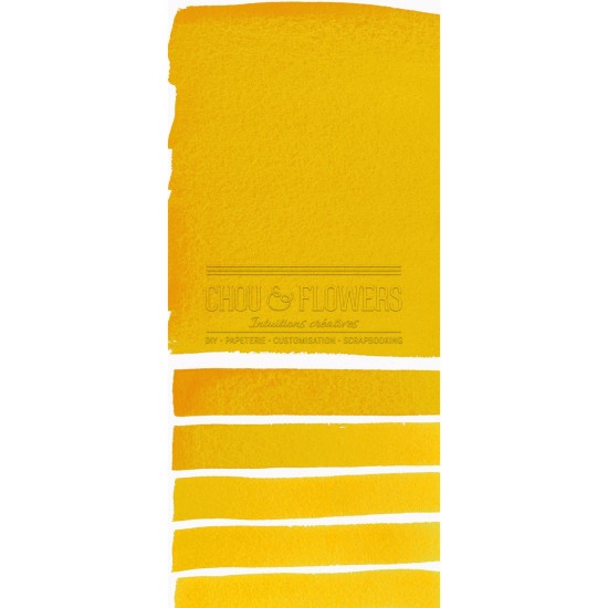 Aquarelle extra-fines Daniel Smith