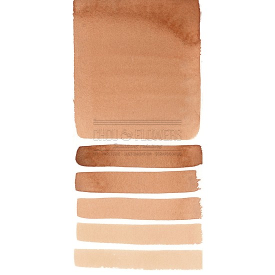 Aquarelle extra-fines Daniel Smith