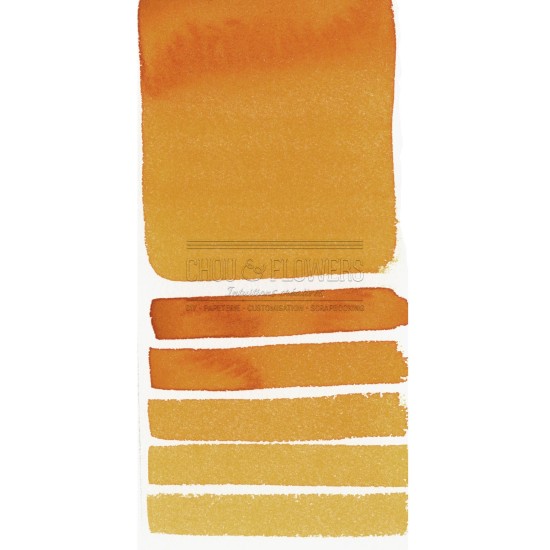 Aquarelle extra-fines Daniel Smith