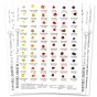 dot card 266 couleurs Aquarelle extra-fines Daniel Smith