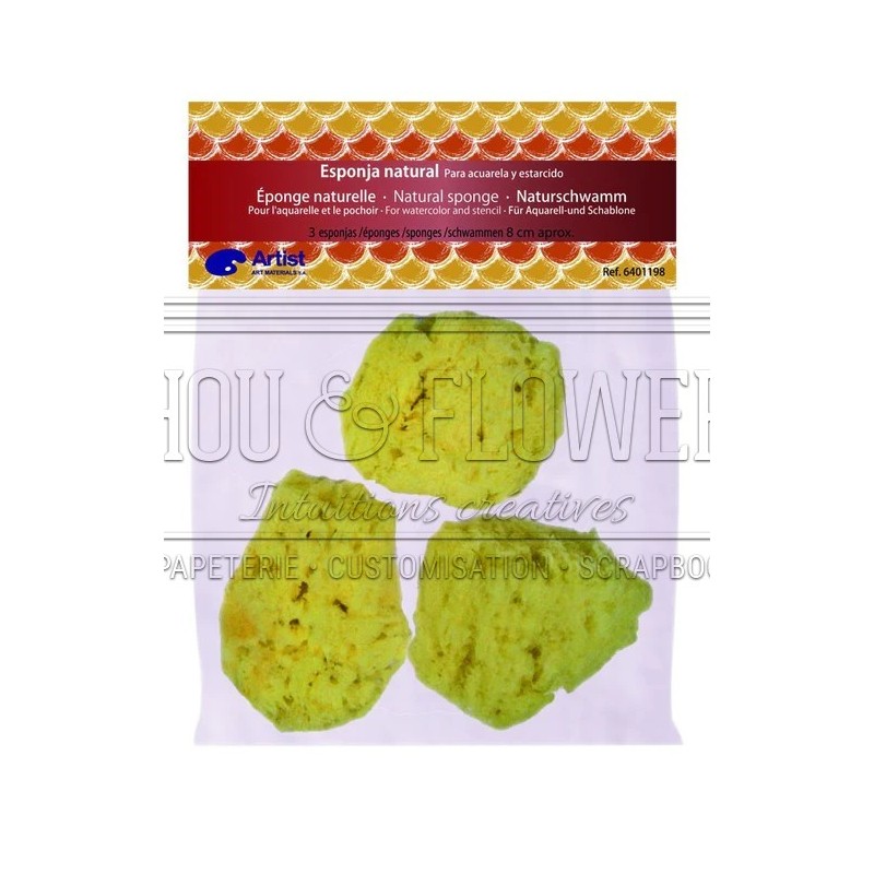 éponges naturelles pour créer des effets