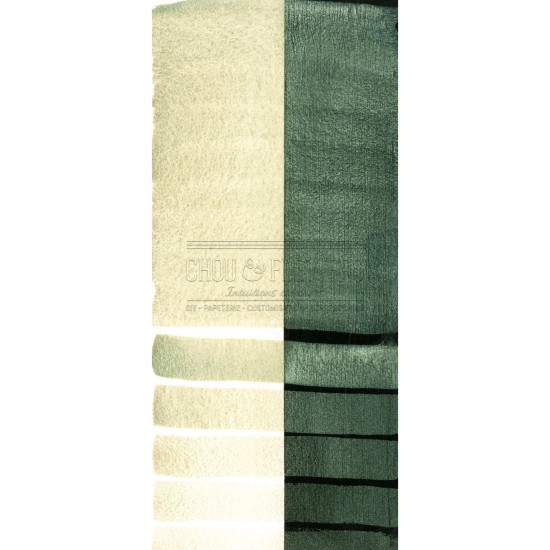 Aquarelle extra-fines Daniel Smith