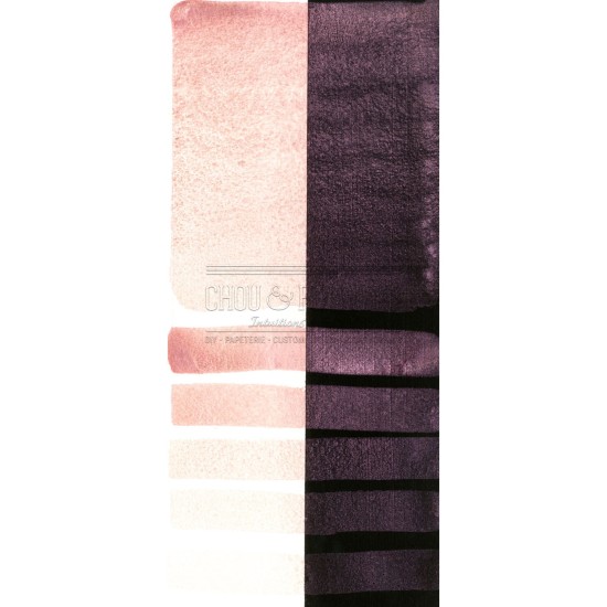 Aquarelle extra-fines Daniel Smith