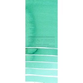 Aquarelle extra-fines Daniel Smith