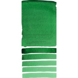 Aquarelle extra-fines Daniel Smith