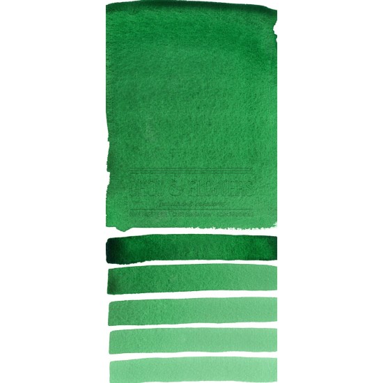 Aquarelle extra-fines Daniel Smith