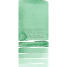 Aquarelle extra-fines Daniel Smith