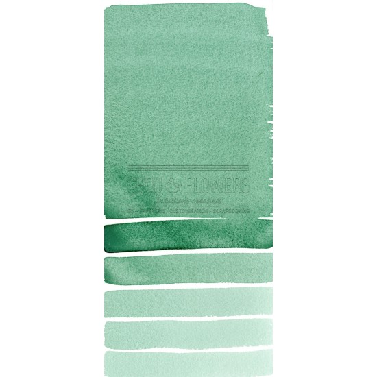 Aquarelle extra-fines Daniel Smith