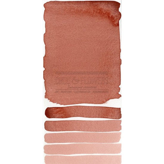 Aquarelle extra-fines Daniel Smith