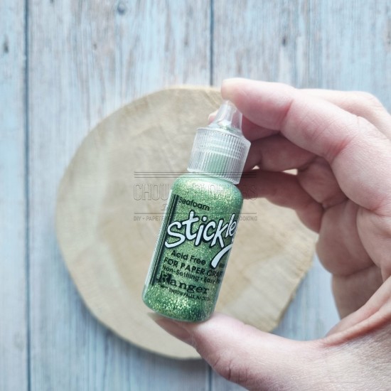 paillettes stickes de ranger